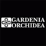 Gardeniaorchidea